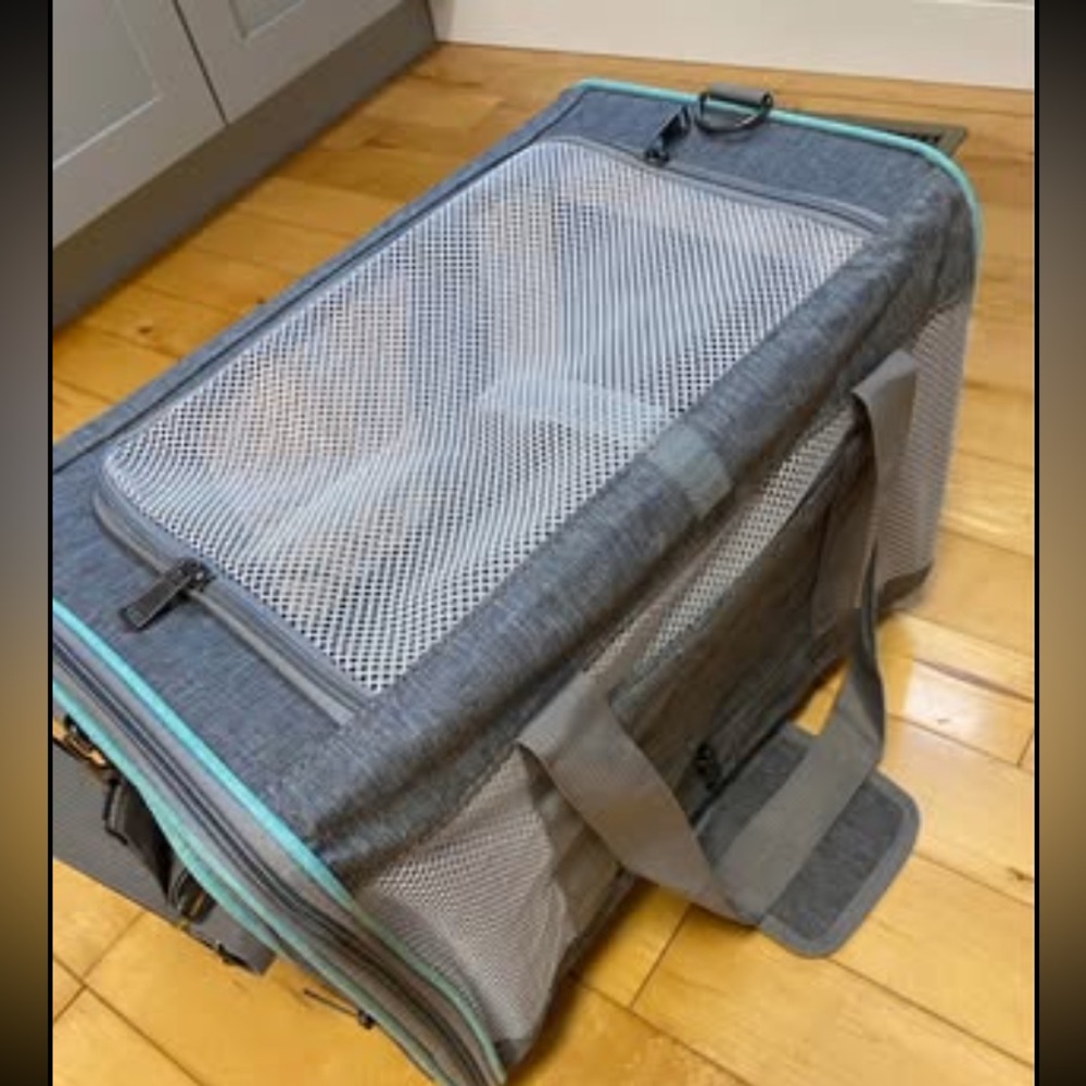 Collapsible pet carrier